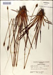 000049776-thumbnail.jpg