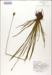 000049777-thumbnail.jpg