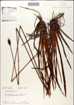 000049779-thumbnail.jpg