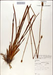 000049781-thumbnail.jpg