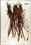 000049783-thumbnail.jpg
