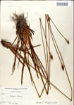 000049784-thumbnail.jpg