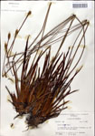 000049785-thumbnail.jpg