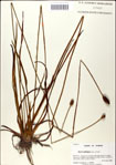 000049786-thumbnail.jpg