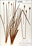 000049788-thumbnail.jpg