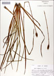 000049790-thumbnail.jpg