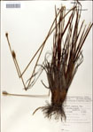 000049795-thumbnail.jpg