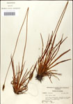 000049796-thumbnail.jpg
