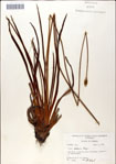 000049797-thumbnail.jpg