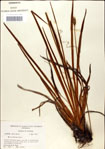 000049798-thumbnail.jpg