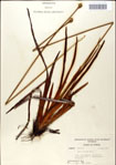 000049801-thumbnail.jpg