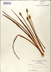 000049802-thumbnail.jpg