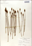 000049803-thumbnail.jpg