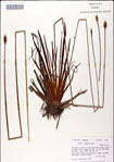 000049804-thumbnail.jpg