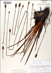 000049805-thumbnail.jpg