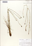 000049806-thumbnail.jpg