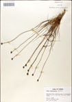 000049807-thumbnail.jpg