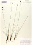 000049808-thumbnail.jpg