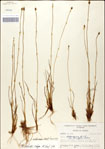 000049810-thumbnail.jpg
