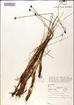 000049813-thumbnail.jpg