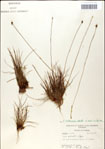 000049816-thumbnail.jpg
