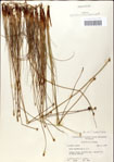 000049818-thumbnail.jpg