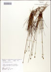 000049819-thumbnail.jpg