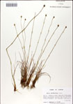 000049820-thumbnail.jpg