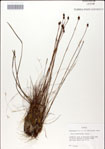 000049822-thumbnail.jpg