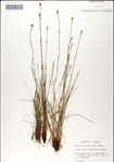 000049824-thumbnail.jpg