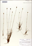 000049825-thumbnail.jpg