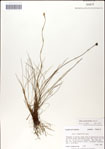 000049826-thumbnail.jpg