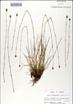000049827-thumbnail.jpg