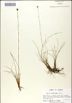 000049829-thumbnail.jpg