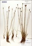 000049832-thumbnail.jpg