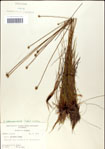 000049833-thumbnail.jpg