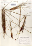 000049834-thumbnail.jpg