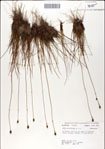 000049835-thumbnail.jpg