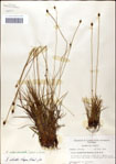 000049838-thumbnail.jpg