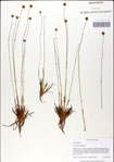 000049840-thumbnail.jpg