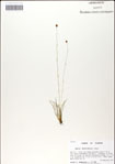 000049842-thumbnail.jpg