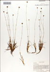 000049843-thumbnail.jpg