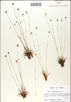 000049844-thumbnail.jpg