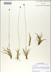 000049846-thumbnail.jpg