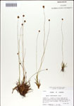 000049847-thumbnail.jpg