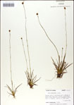 000049848-thumbnail.jpg