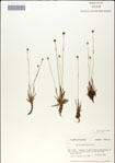 000049849-thumbnail.jpg