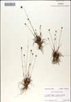 000049850-thumbnail.jpg