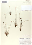 000049852-thumbnail.jpg