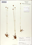 000049853-thumbnail.jpg